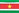 Suriname Flag