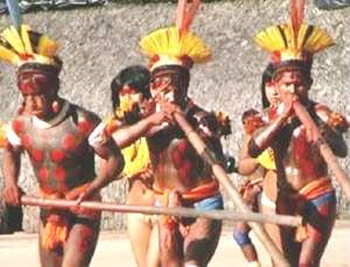 Amerindians Group