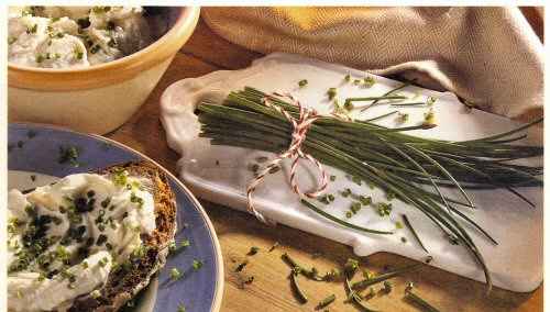 Onion Chives Scallions