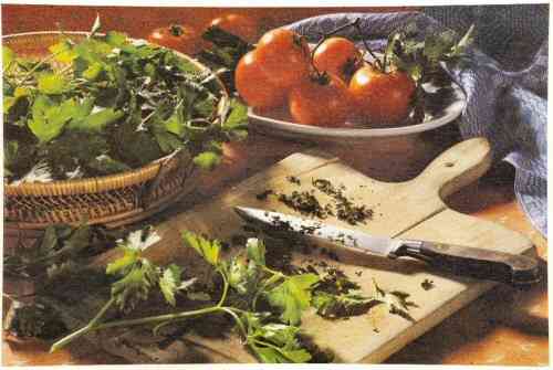 Medicinal Culinary Herb Parsley